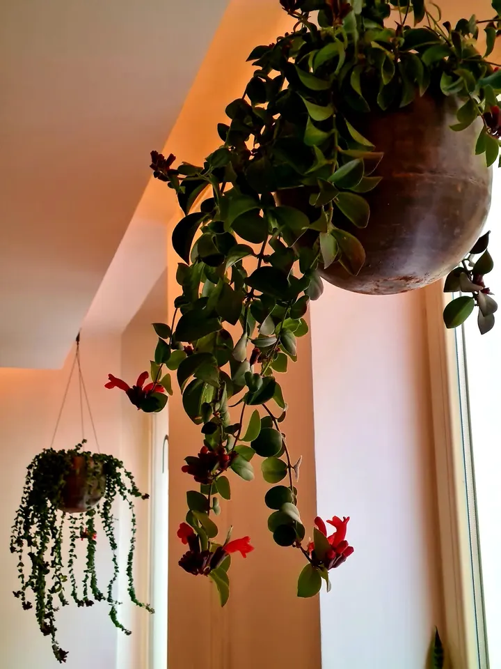 Benjamín Cabrero Yoga — yoga-studio en Madrid — 5
