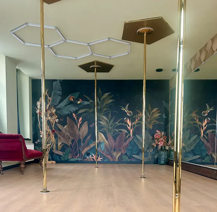 House of Luna — pole fitness-studio in Delfshaven, Rotterdam — 3