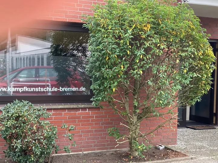 Kampfkunstschule Bremen — kampfsport-studio in Huchting, Bremen — 3
