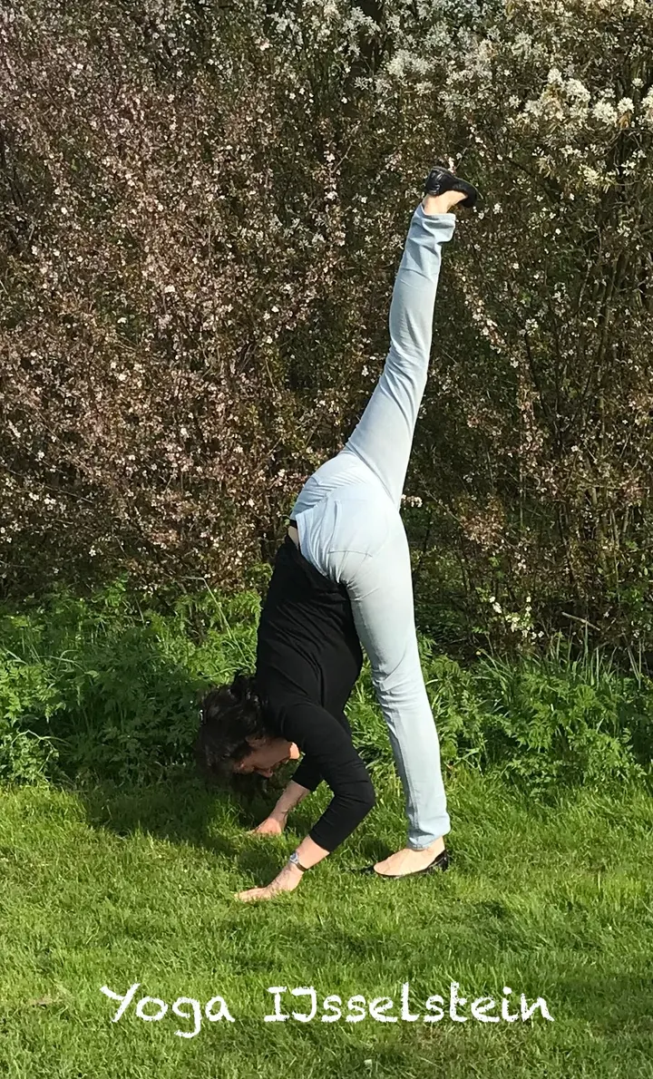 YOGA IJsselstein​ — yoga-studio in IJsselstein — 3