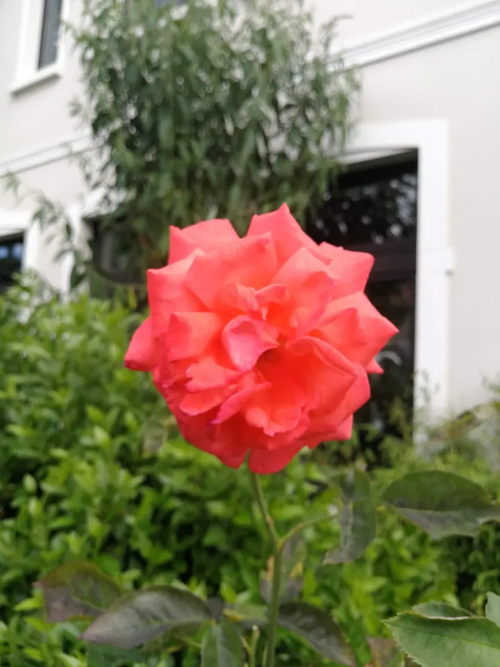 AURA-SOMA u. Samahita-YOGA — yoga-studio in Oldenburg — 4