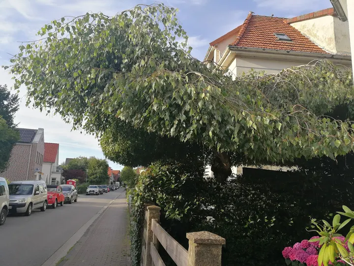 AURA-SOMA u. Samahita-YOGA — Yoga in Bürgeresch, Oldenburg
