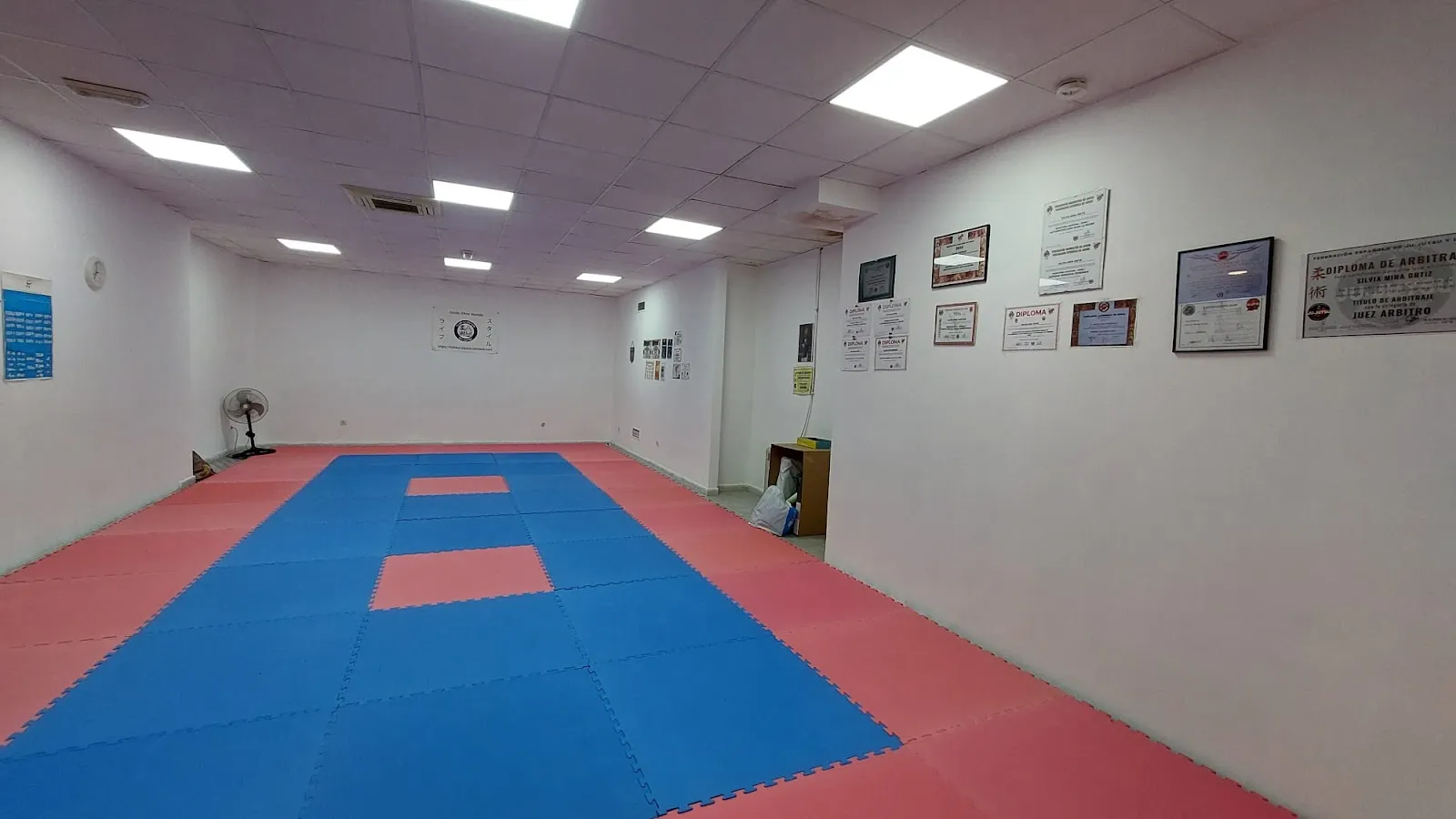 Kidokai Jujutsu — bjj-studio en Orpesa/Oropesa del Mar — 4