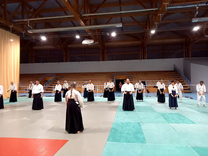 Aikido Dojo Libre — arts martiaux-studio à Lyon — 4