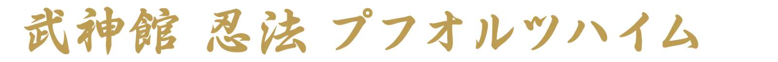Bujinkan Ninpo Pforzheim e.V. — kampfsport-studio in Neuenbürg — 3