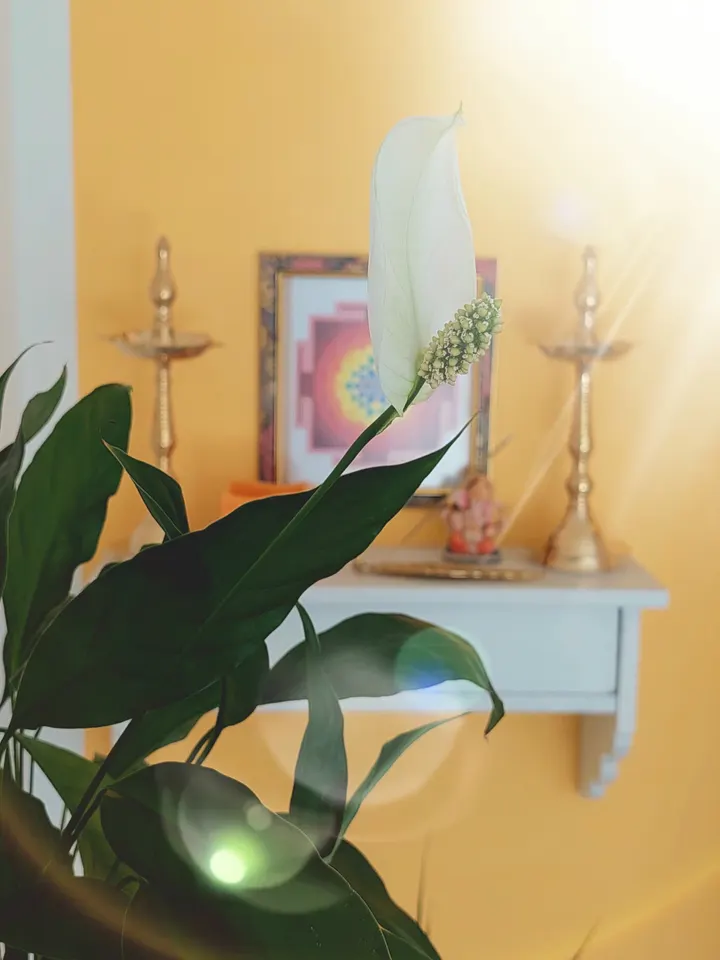 Clari di Yoga — yoga-studio in Fellbach — 4