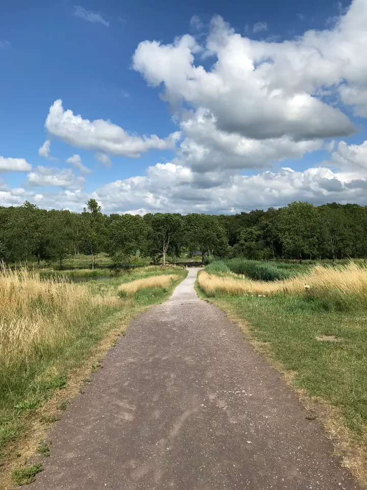 Belevenslust — yoga-studio in Sneek — 4