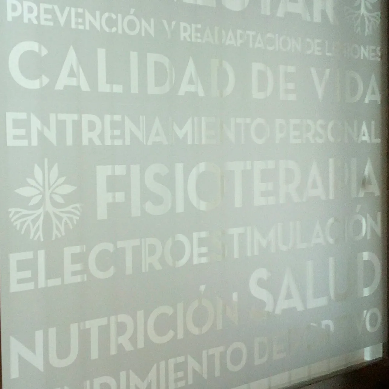 ROOTS CENTER VILA-REAL | Fisioterapia, Entrenamiento Personal y Entrenamiento en Grupo Reducido — entrenamiento personal-studio en Vila-real — 2