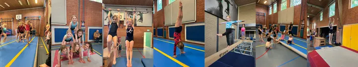 Stichting Gym&Turnen Arnhem — sportschool-studio in Arnhem-Zuid, Arnhem — 3