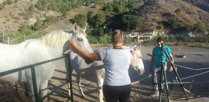 Bina Yoga — yoga-studio en La Perla de Andalucía, Calahonda — 2