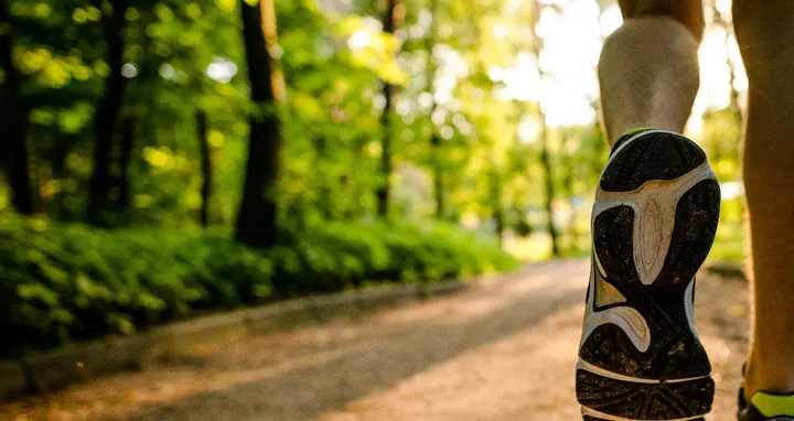 Woodlands Personal Training — PT Studio in Netley Marsh, Southampton