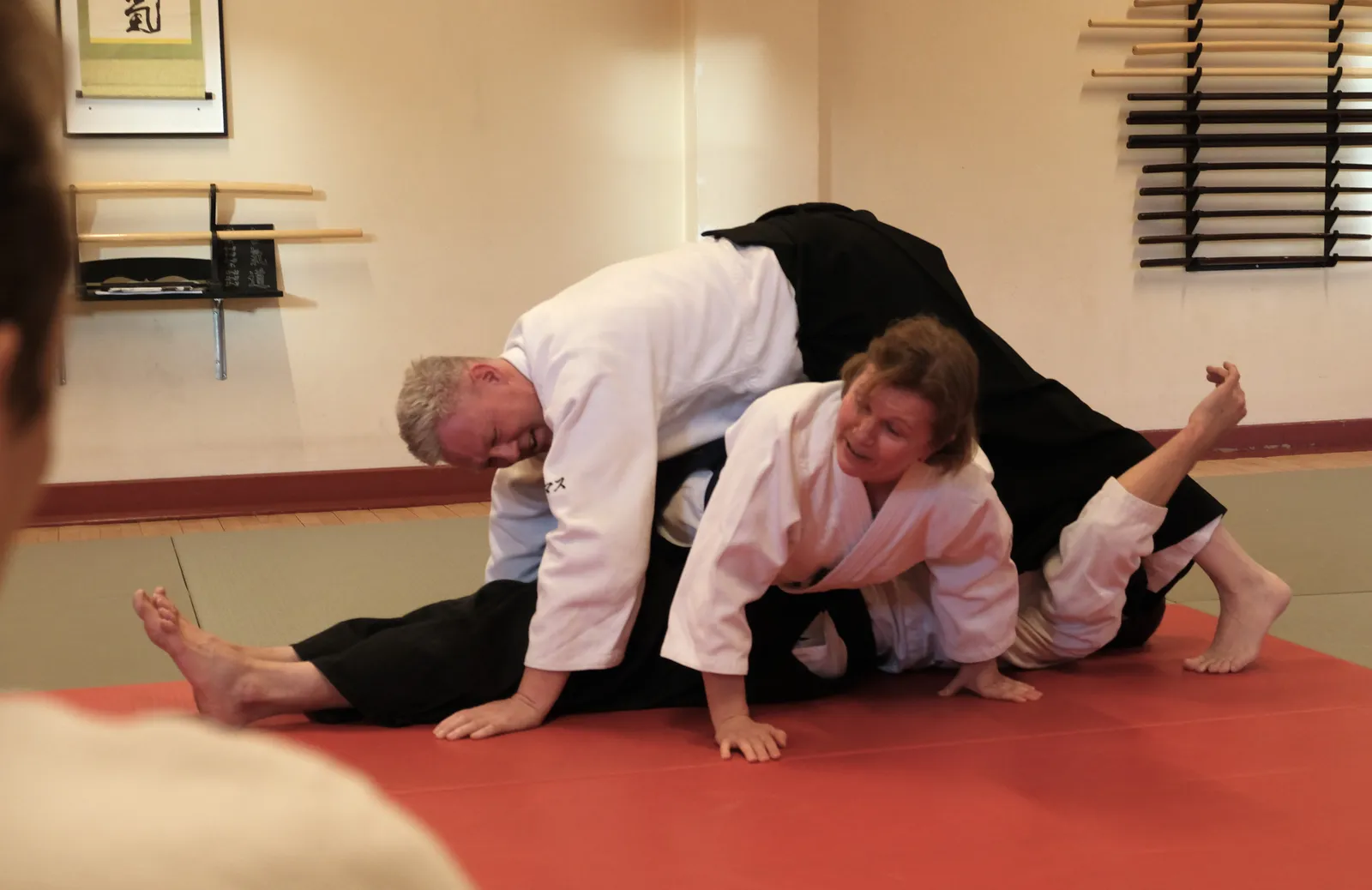 Aalborg Aikido Klub — kampsport-studio i Mjel, Aalborg — 2