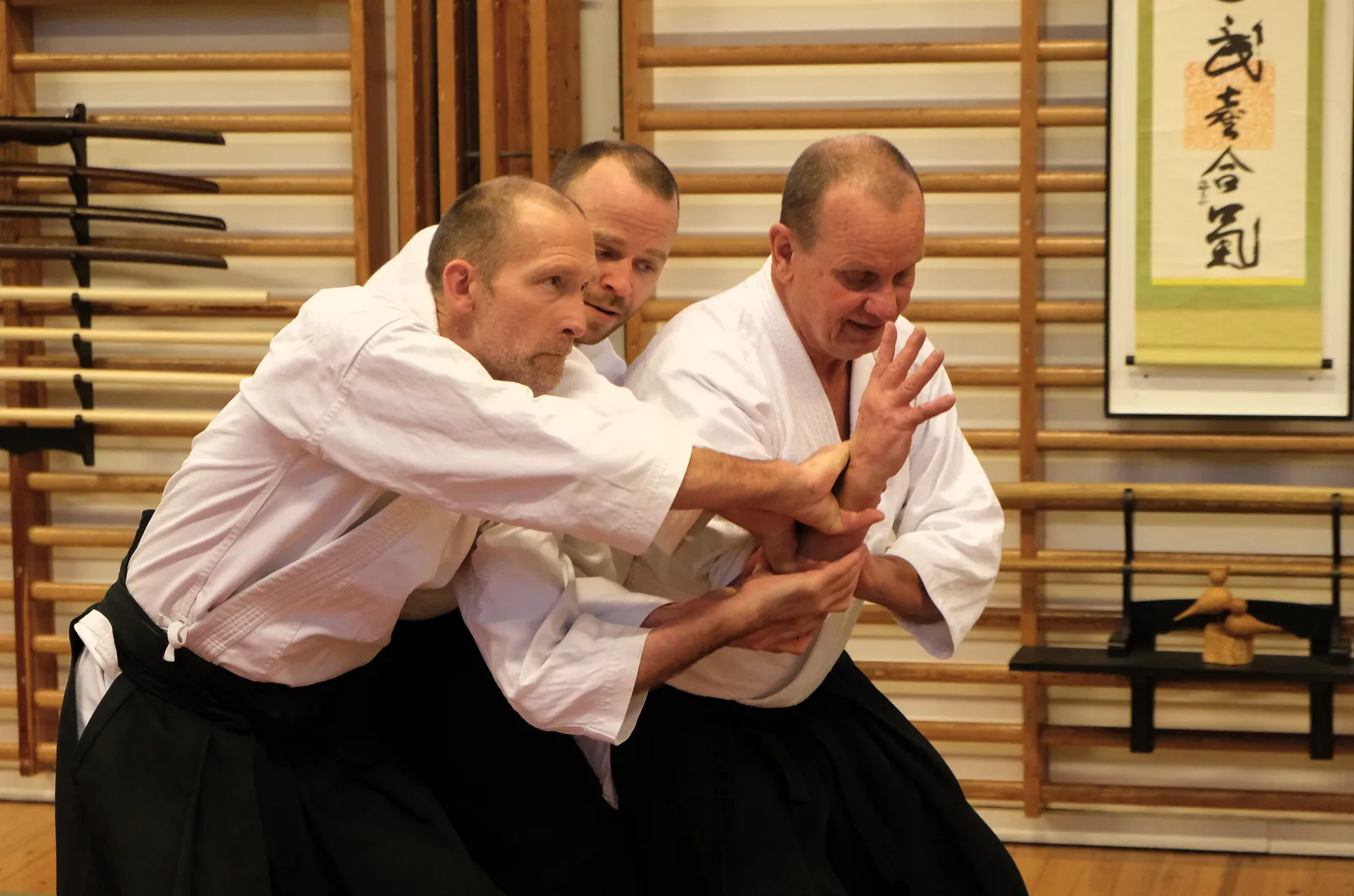 Aalborg Aikido Klub — kampsport-studio i Mjel, Aalborg — 3