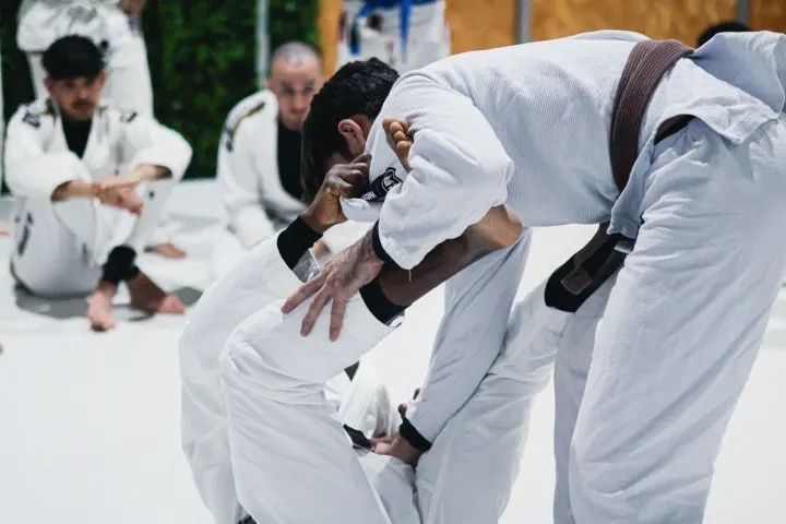 Leaf Jiu Jitsu — jiu-jitsu brasileiro-studio em Braga — 3
