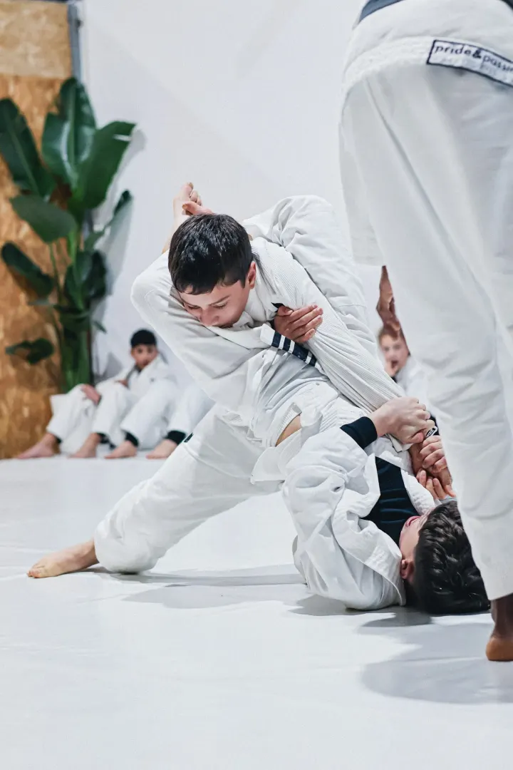 Leaf Jiu Jitsu — Jiu-jitsu brasileiro em Merelim (São Pedro) e Frossos, Braga