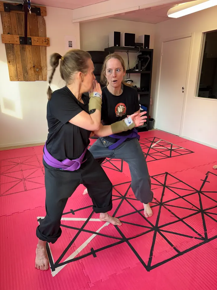 Jo Self Defence Academy Bilgatan — kampsport-studio i Kungälv, Göteborg — 2