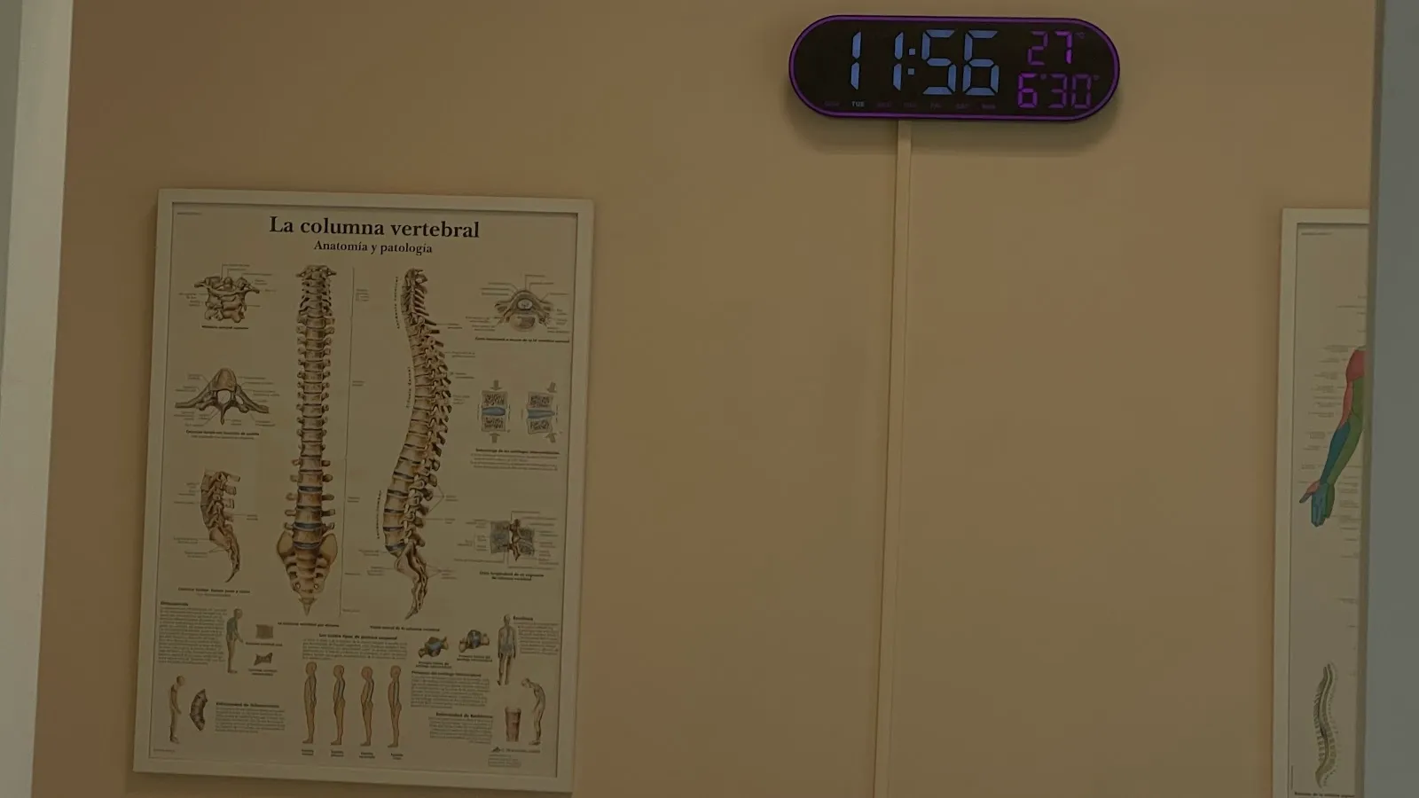 SBS Centro - Electroestimulación, Fisioterapia y Pilates — electroestimulación-studio en Ciudad Lineal, Madrid — 2