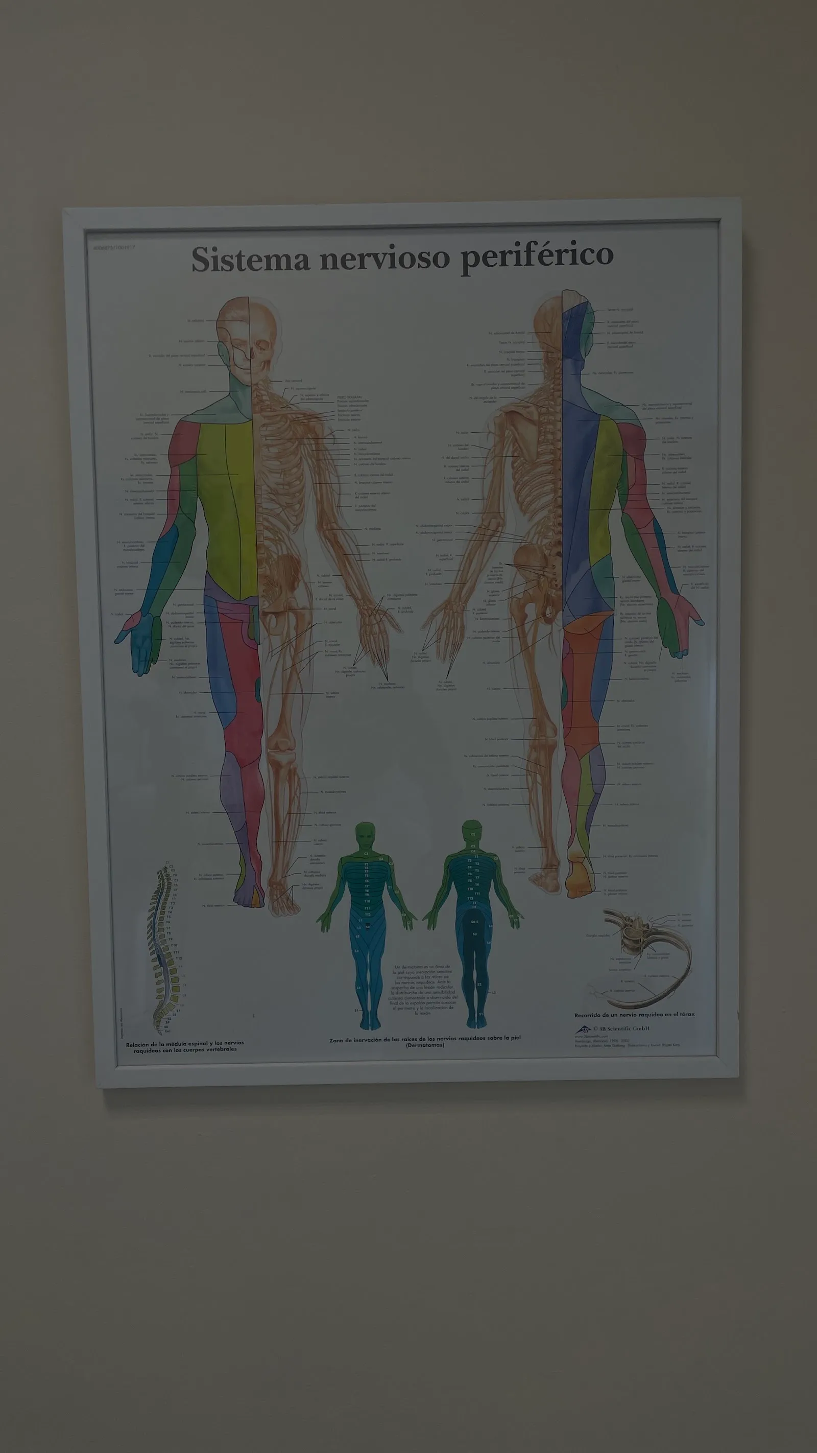 SBS Centro - Electroestimulación, Fisioterapia y Pilates — electroestimulación-studio en Ciudad Lineal, Madrid — 3