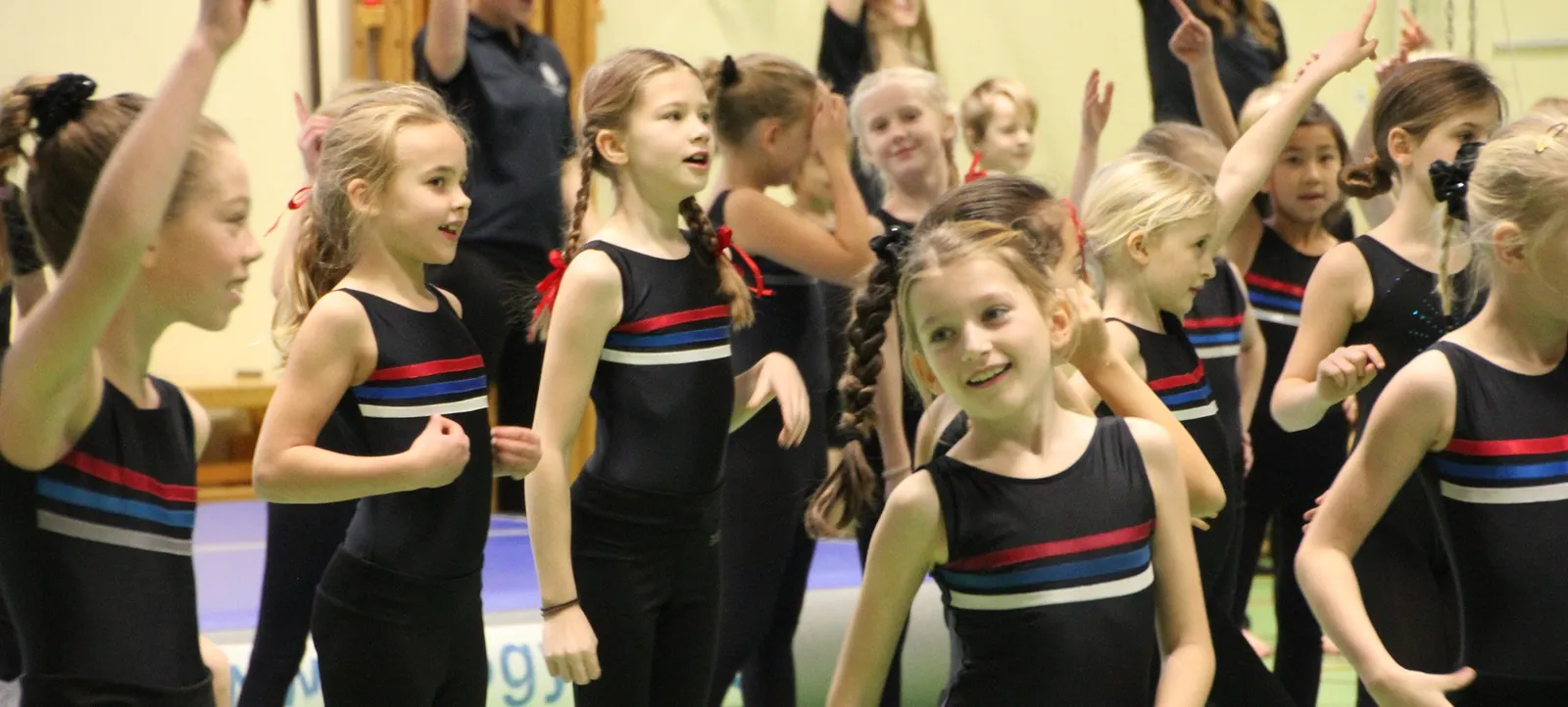 Gymnastiktruppen Vikingarna — träningsstudio i Lidingö — 3