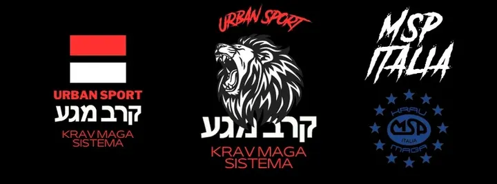 KRAV MAGA MSP ITALIA — arti marziali-studio a Venezia — 6
