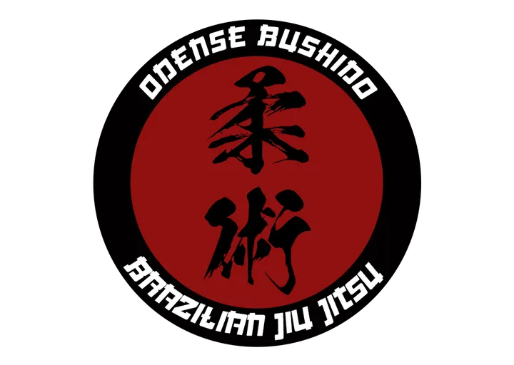 Odense Bushido Klub — kampsport-studio i City Campus, Odense — 2