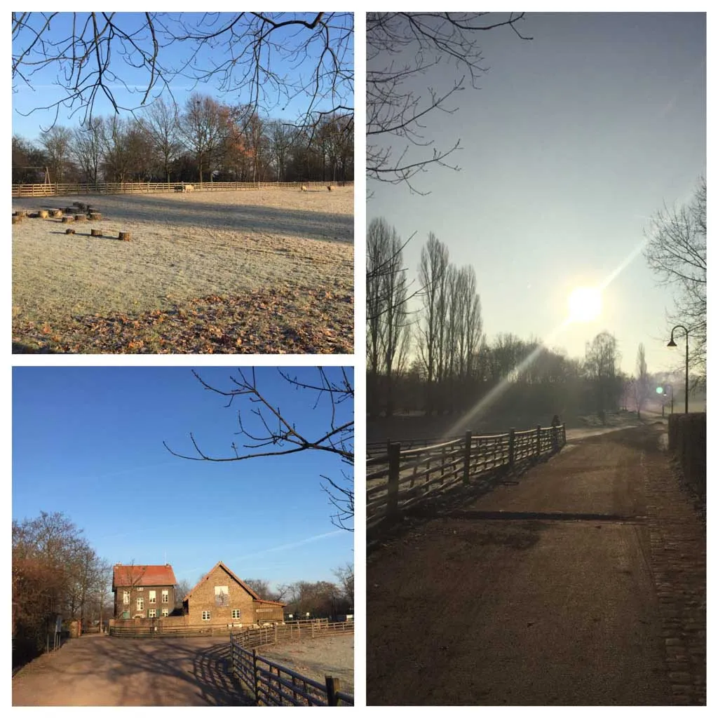 LAUFMAMALAUF Düsseldorf Oberkassel — träningsstudio i Düsseldorf — 4