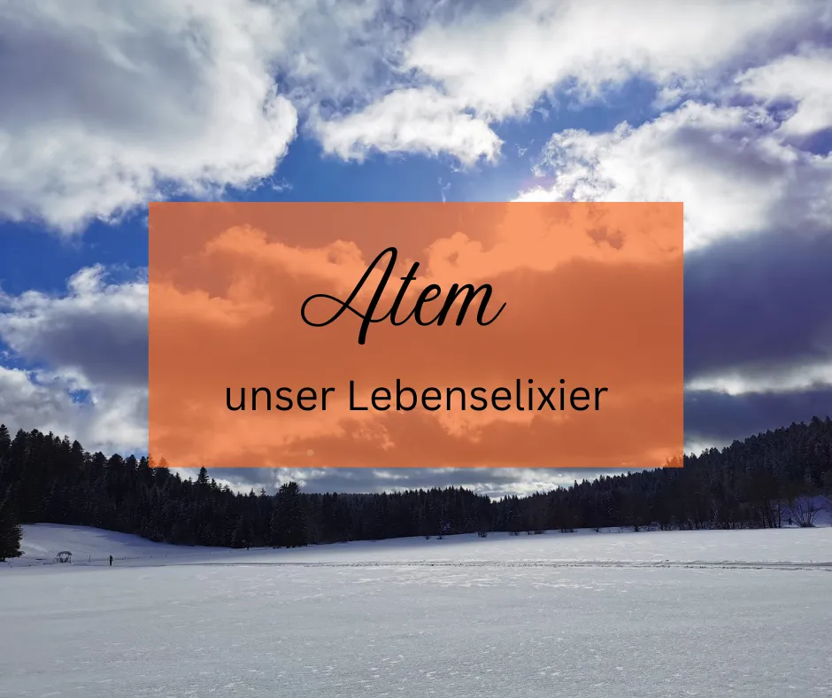 Bewegung in Harmonie — pilates-studio i Emmendingen — 4