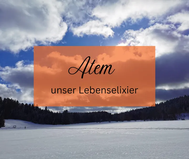 Bewegung in Harmonie — pilates-studio in Emmendingen — 4