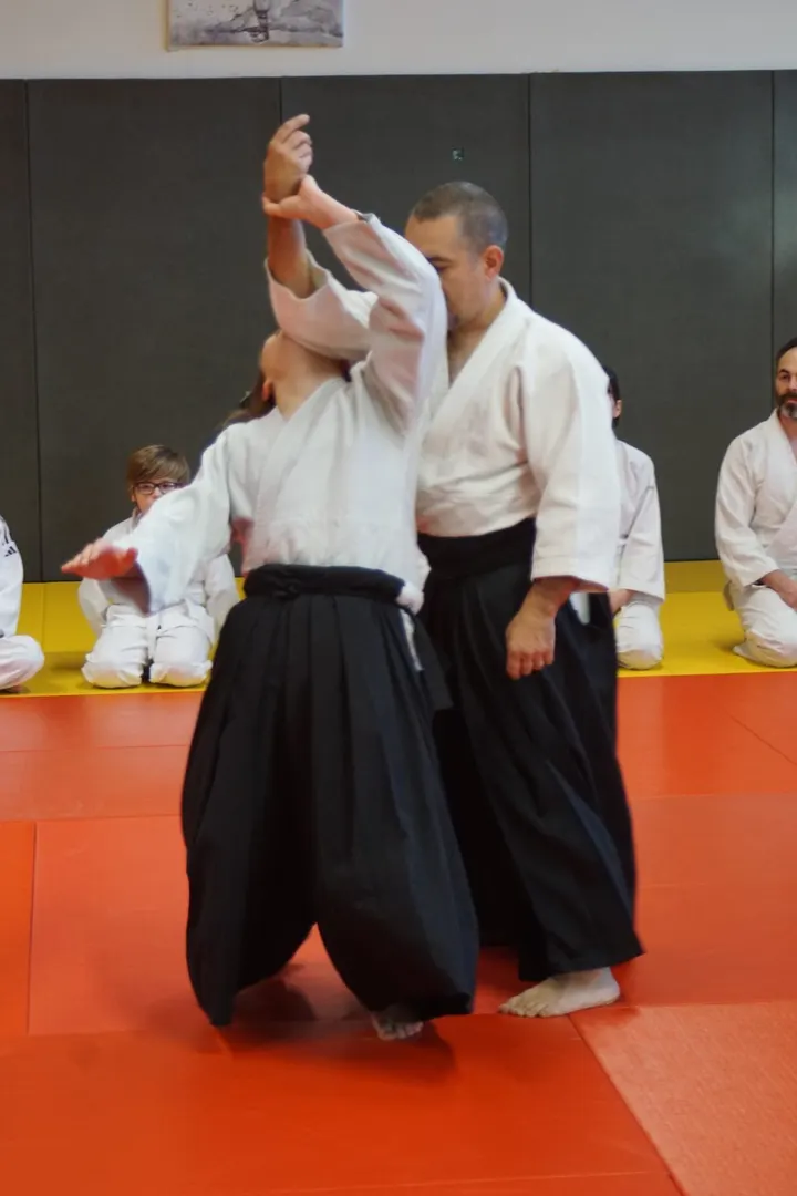 Aïkikaï de Poisy-Annecy — arts martiaux-studio aux Maladières, Poisy — 3