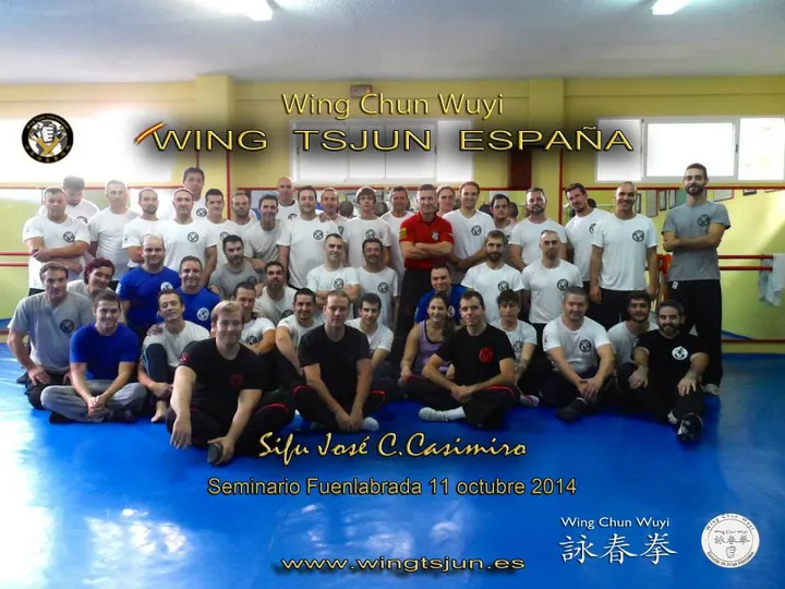 WT KUNG FU CLUB — Artes marciales en San Gregorio, Fuenlabrada