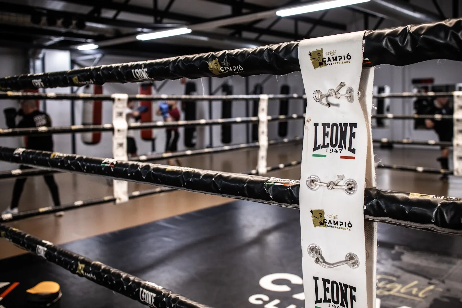 CAMPIÓ CLUB XPERIENCE — kickboxing-studio en Gràcia, Sabadell — 3