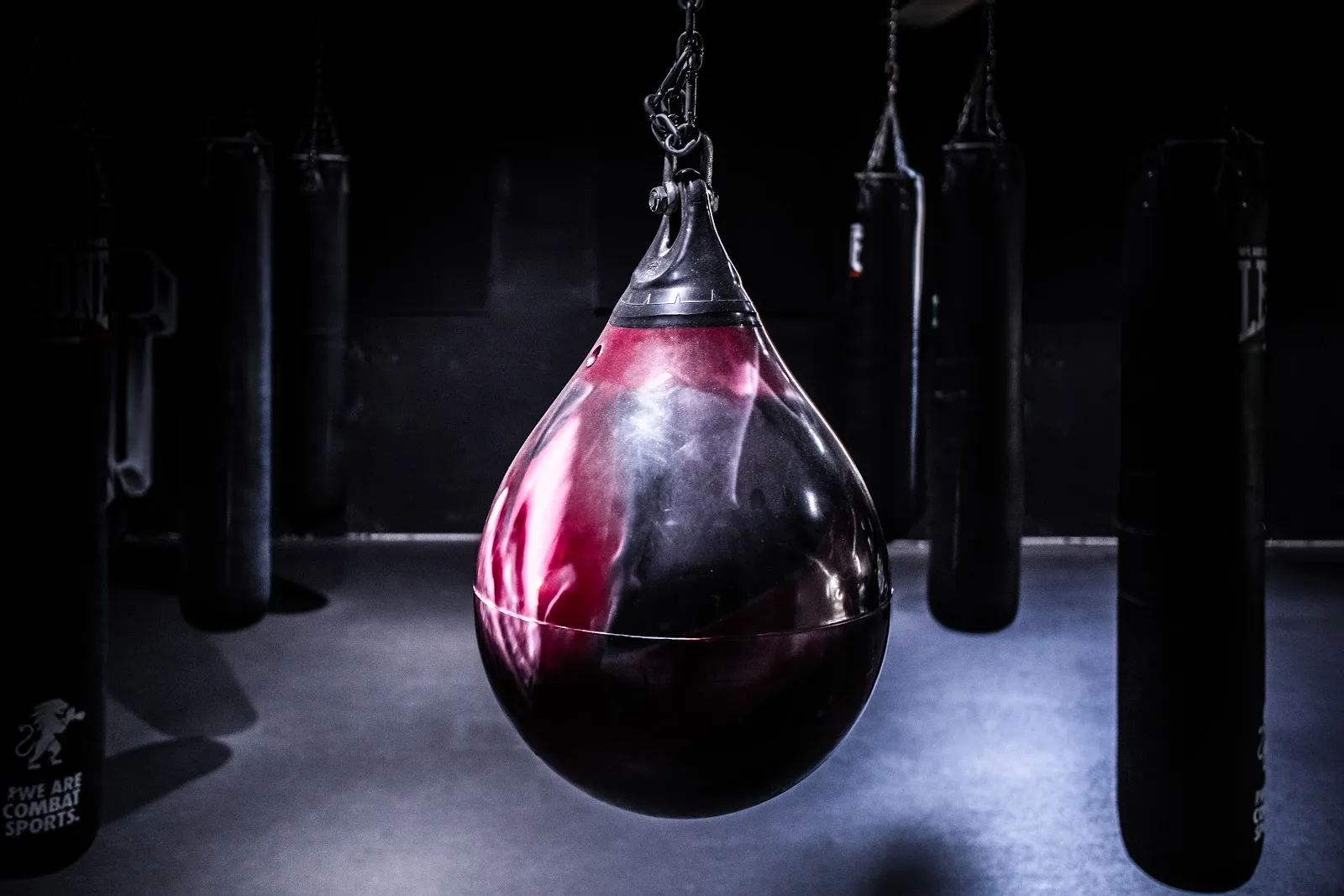 CAMPIÓ CLUB XPERIENCE — kickboxing-studio en Sabadell — 5