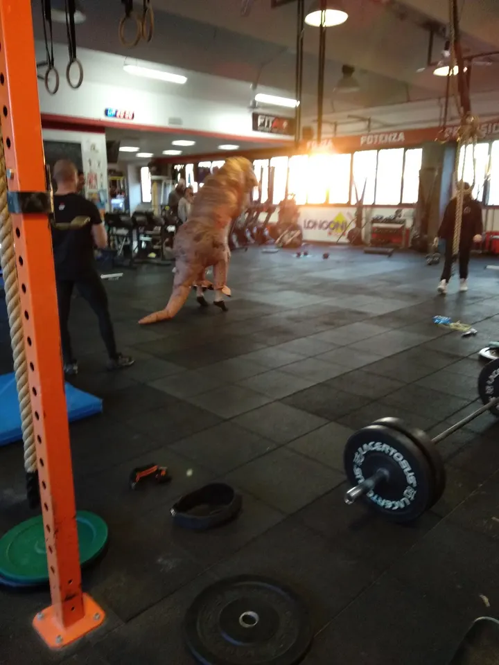 CrossFit Lario — crossfit-studio a Lazzago, Como — 3