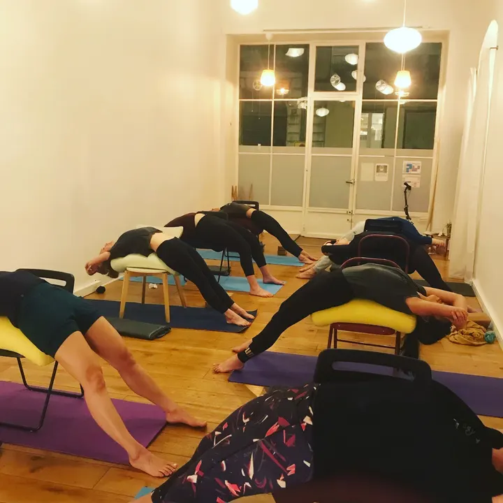 Yoga Iyengar® Grenoble - Nathalie Gin — yoga-studio à Secteur 2, Grenoble — 2
