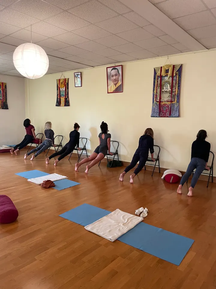 Yoga Iyengar® Grenoble - Nathalie Gin — yoga-studio à Secteur 2, Grenoble — 3