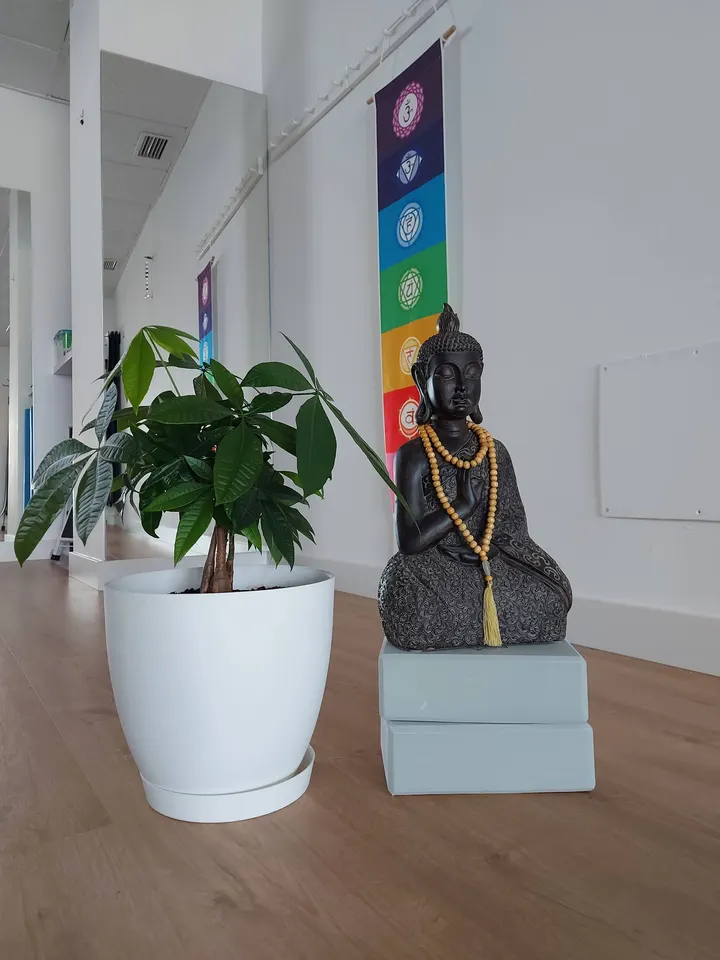 Mishala PILATES — pilates-studio en Roquetas de Mar — 3
