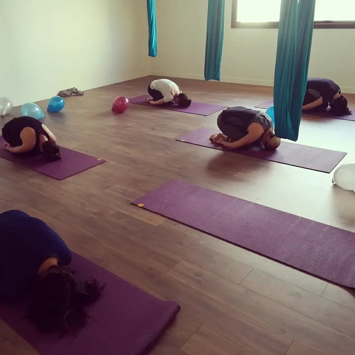 Yoga Aérien Tours — arts aériens-studio à Saint-Cyr-sur-Loire — 4