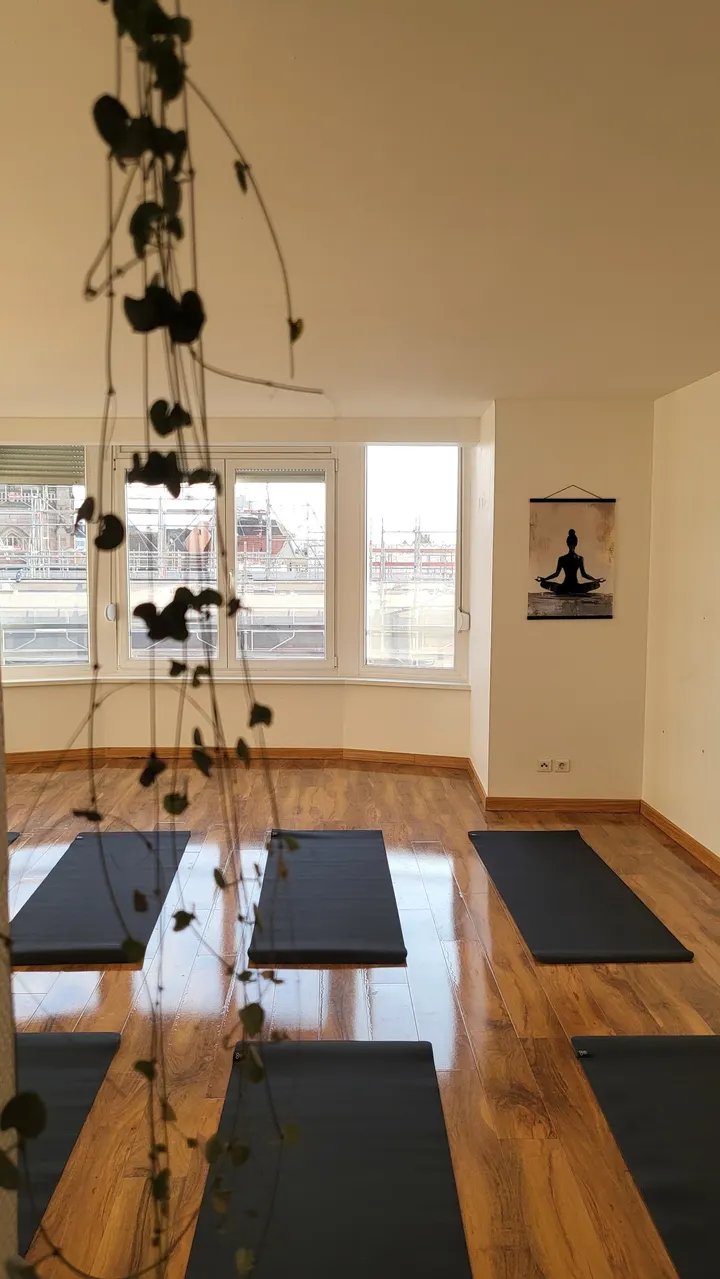 Loft Yoga — yoga-studio à Mulhouse — 3