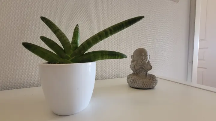 Loft Yoga — yoga-studio à Mulhouse — 5