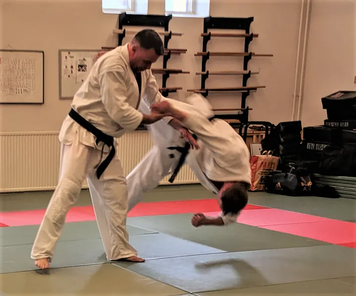 Dokan Dojo/Dokan Ryu Ju Jutsu Sweden — martial arts-studio i Gamlestaden, Göteborg