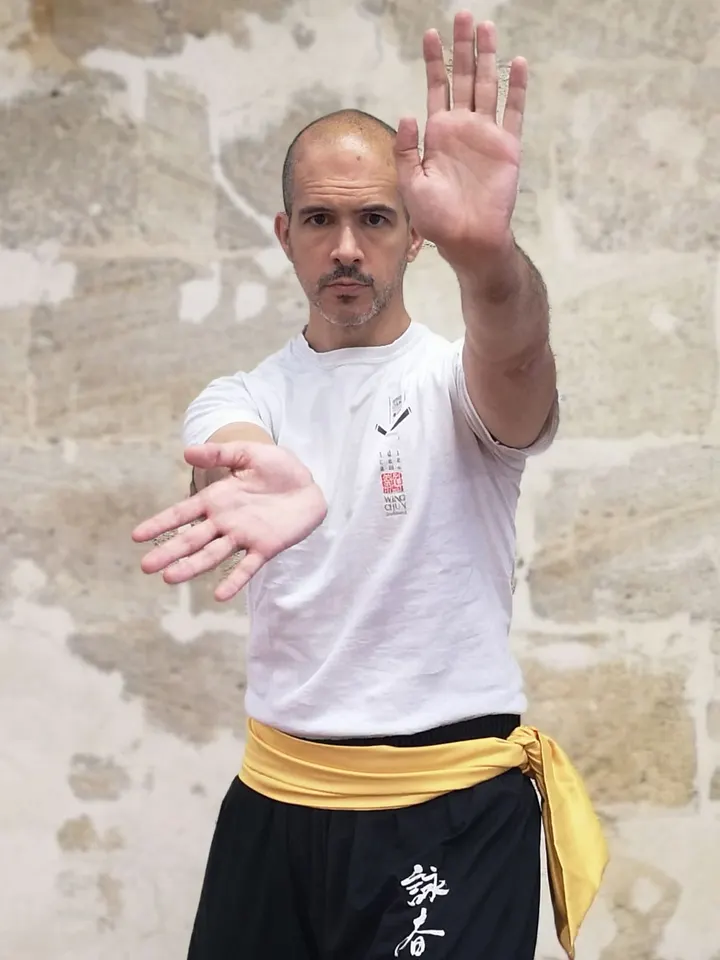 Wing Chun Traditionnel Bordeaux — Arts martiaux à Bordeaux Centre, Bordeaux