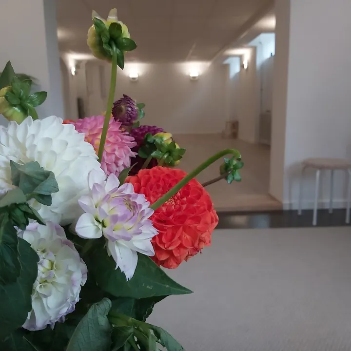 Yogarummet på Fur — yoga-studio i Fur — 5