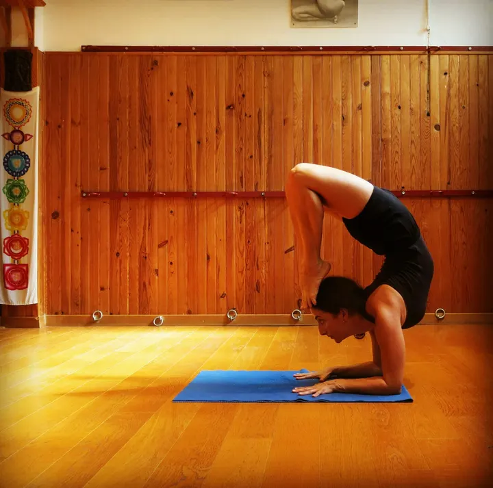 Yoga iyengar avec Noa et Josep — Yoga à Carabacel, Nice