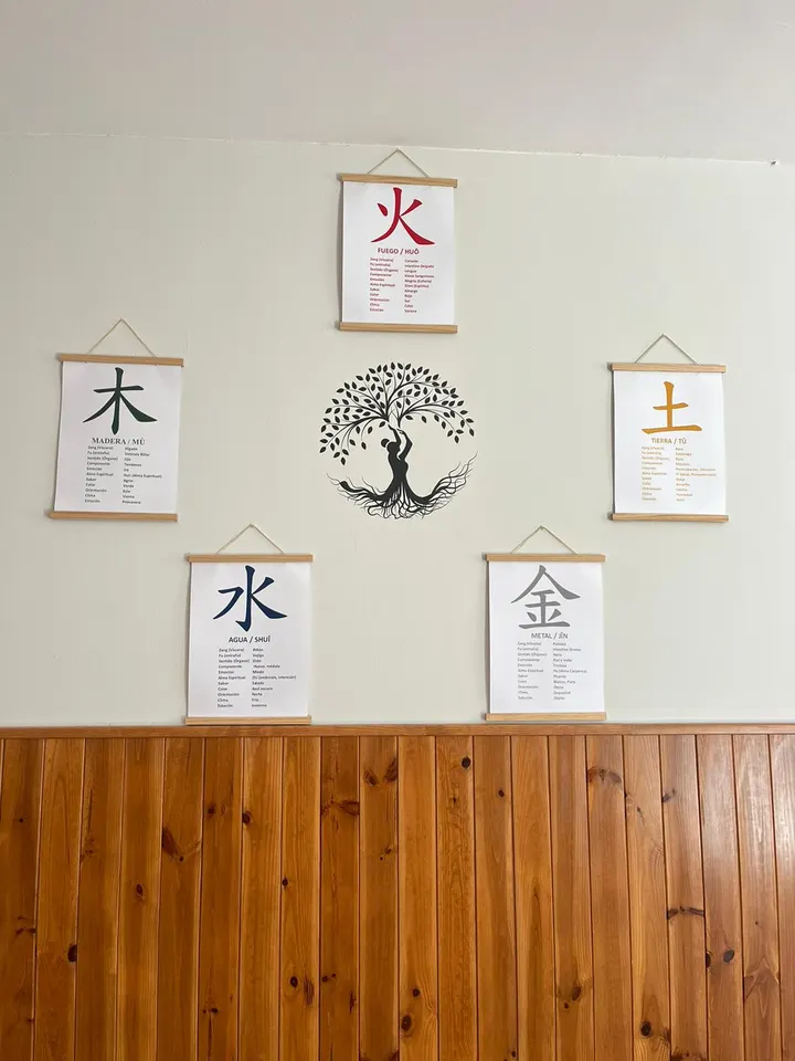 Chikung y más Valladolid — meditación-studio en Caño Argales, Valladolid — 3