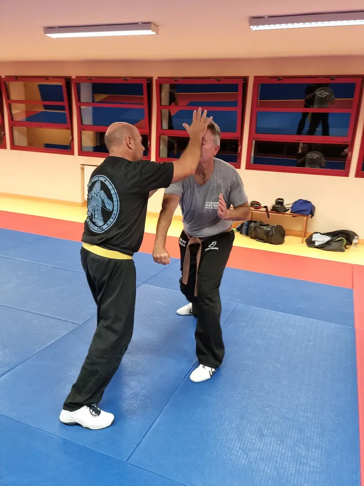 Offensif Krav Maga — arts martiaux-studio à Damigny — 4