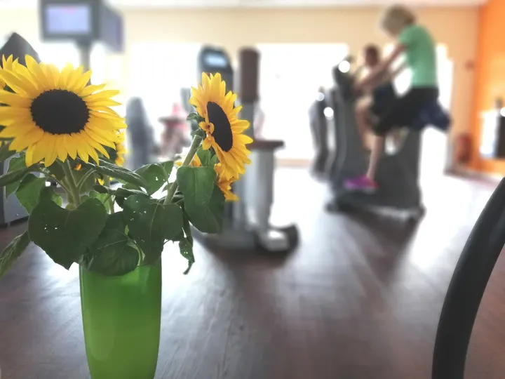 Physio Aktiv — pt-studio in Wardenburg — 4