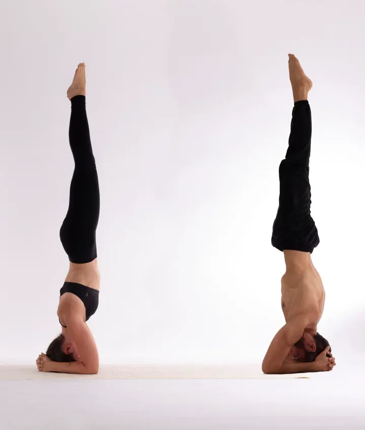 Behrangyoga International Yoga School — yoga-studio a Nizza Millefonti, Torino — 3