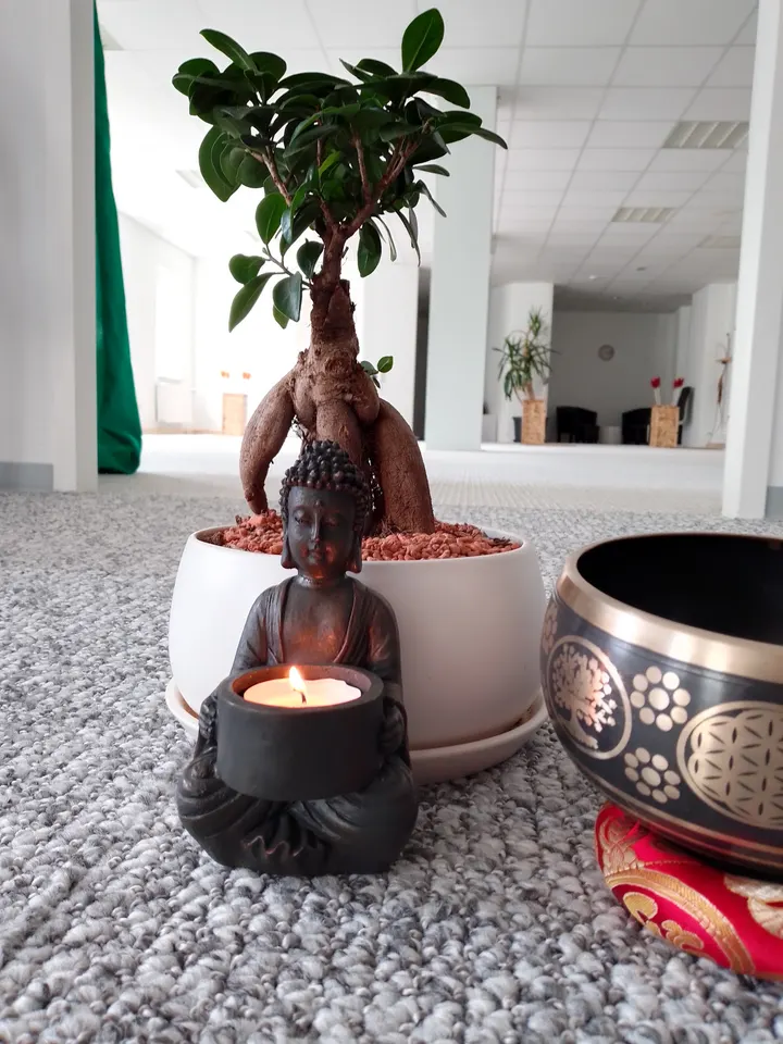 viarcus ® Zentrum für Achtsamkeit — Meditation in Benninghofen, Dortmund