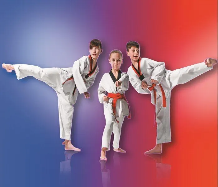Bozdag Taekwondo — martial arts-studio in London — 3