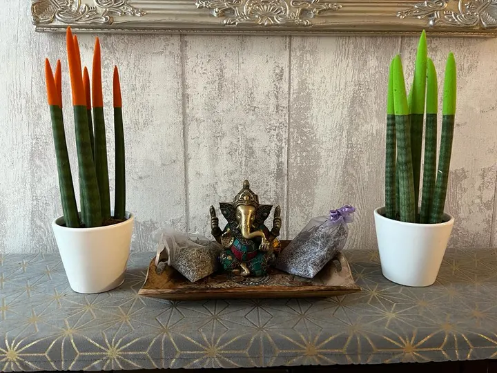 El templo del relax — yoga-studio en Alcalá de Henares — 4